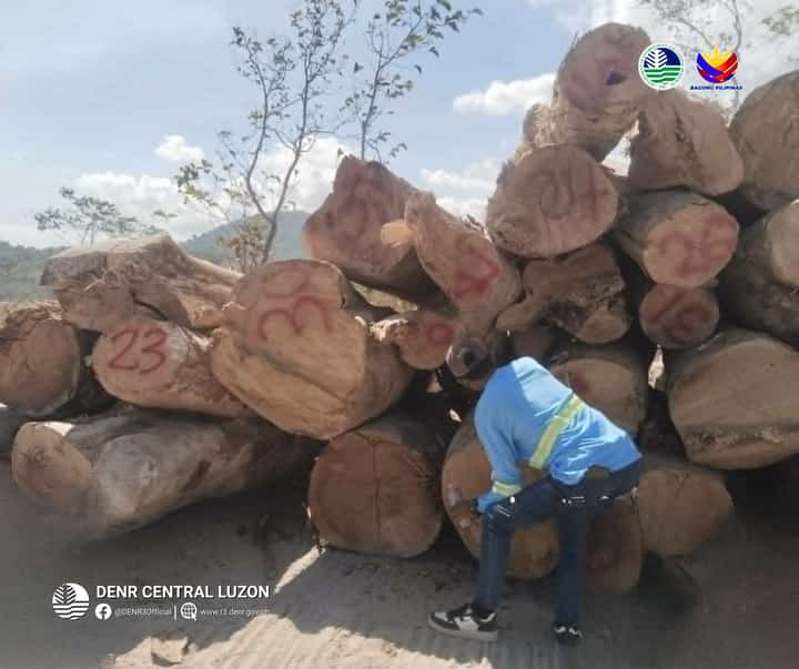 DENR turns over 12,700 board feet of logs to PCG