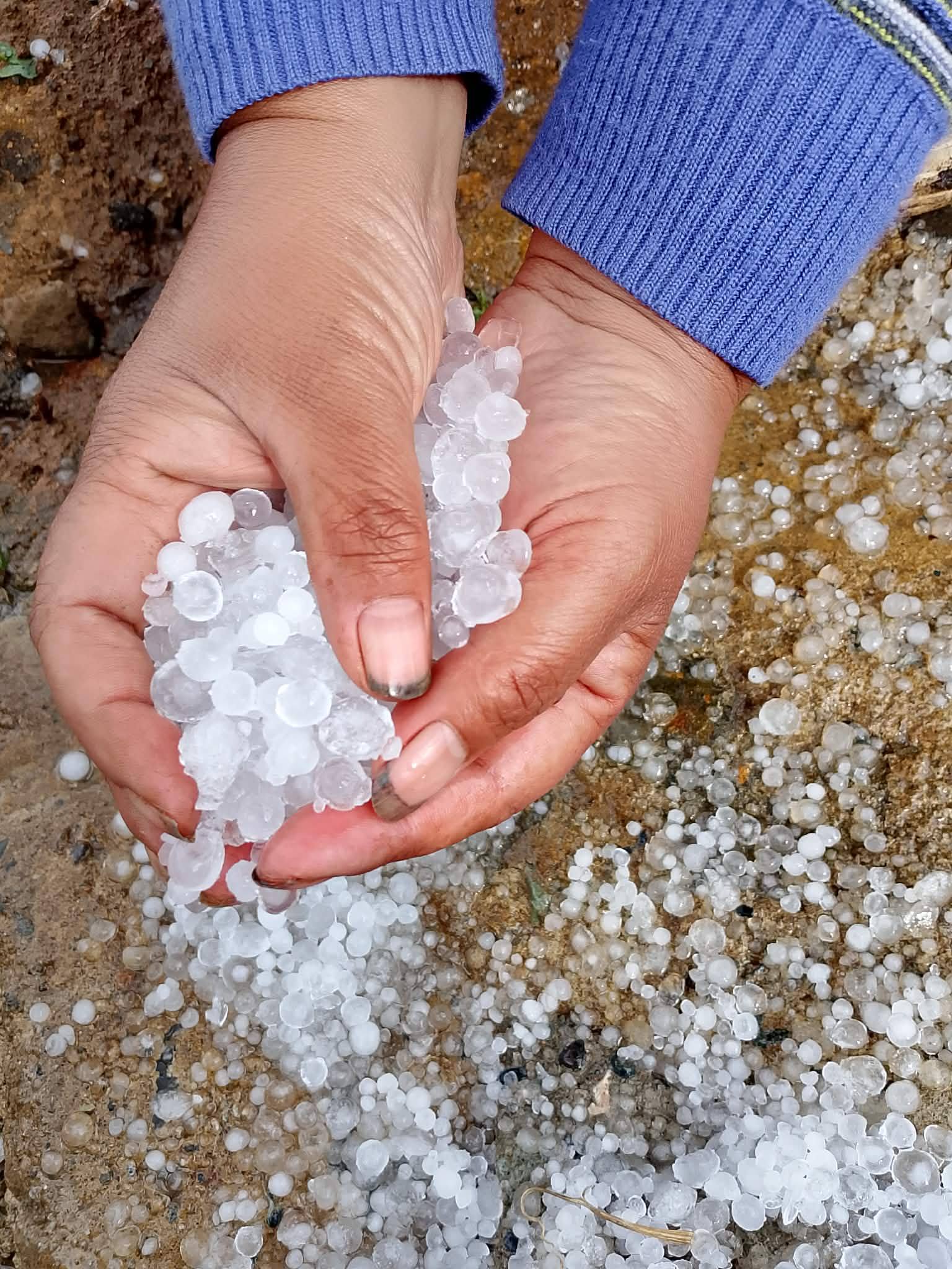 Hailstorm hits Mountain Province farms