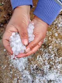 Hailstorm hits Mountain Province farms