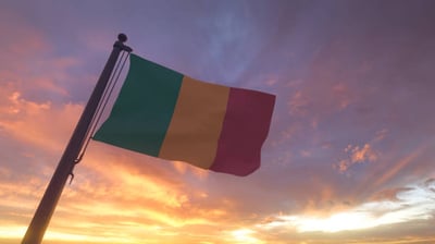 Leave Mali, French nationals told