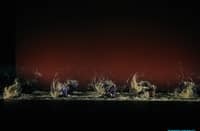 Hiraya Contemporary Dance Company's 'Animal: Anihan ng Malay Act II.'
