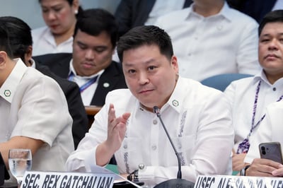 P2.7B fuel subsidy nearly lost to duplicates, ghost drivers — Gatchalian