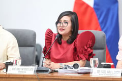 Carpio petition targets AMLC process, not report content, says Luistro