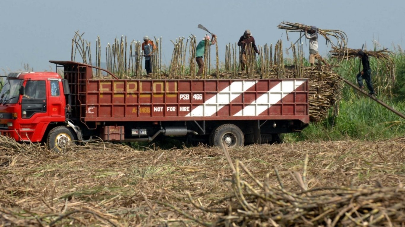 El Niño to cut Phl sugar output next crop year — USDA