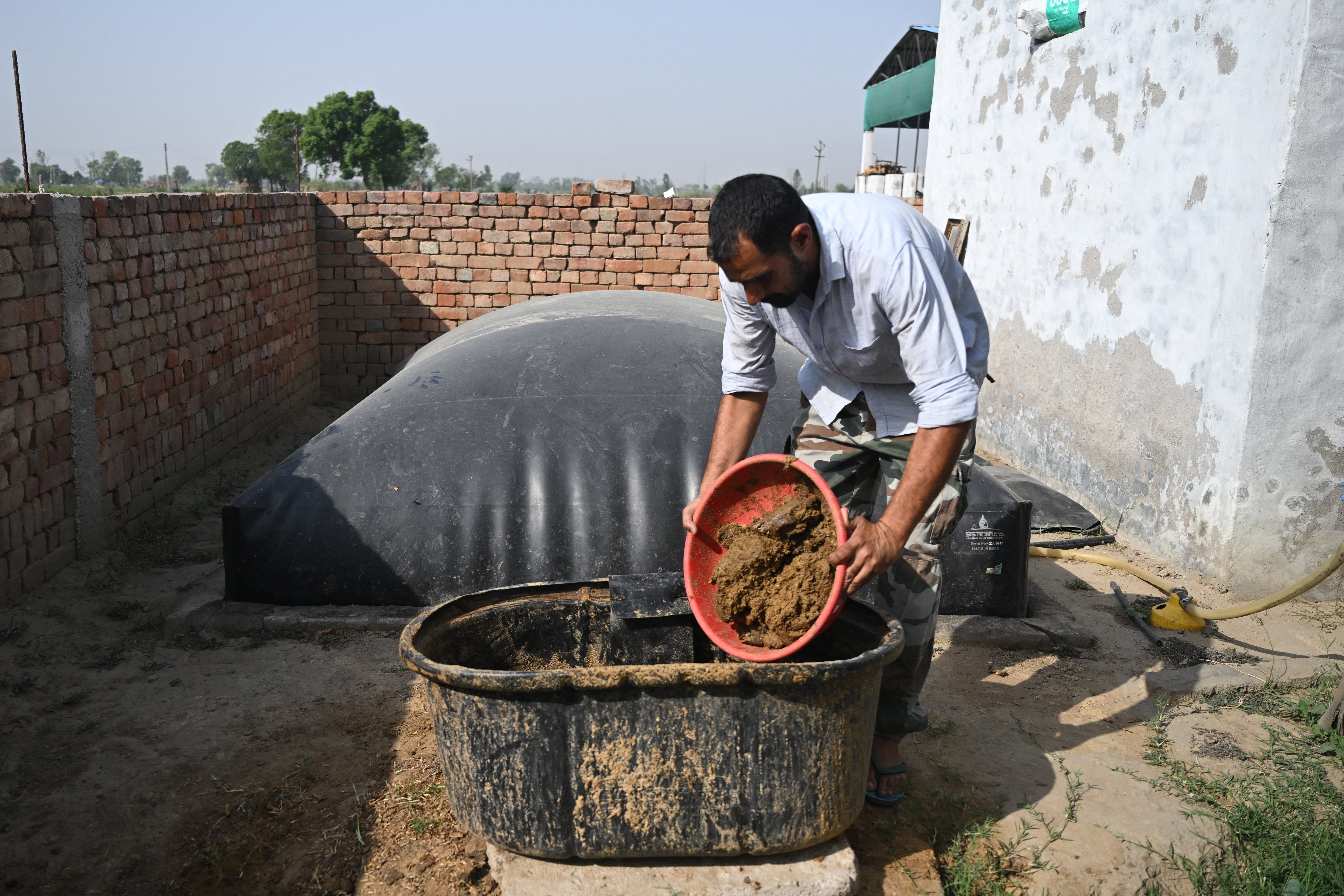Cows offer biogas alternative to energy crunch