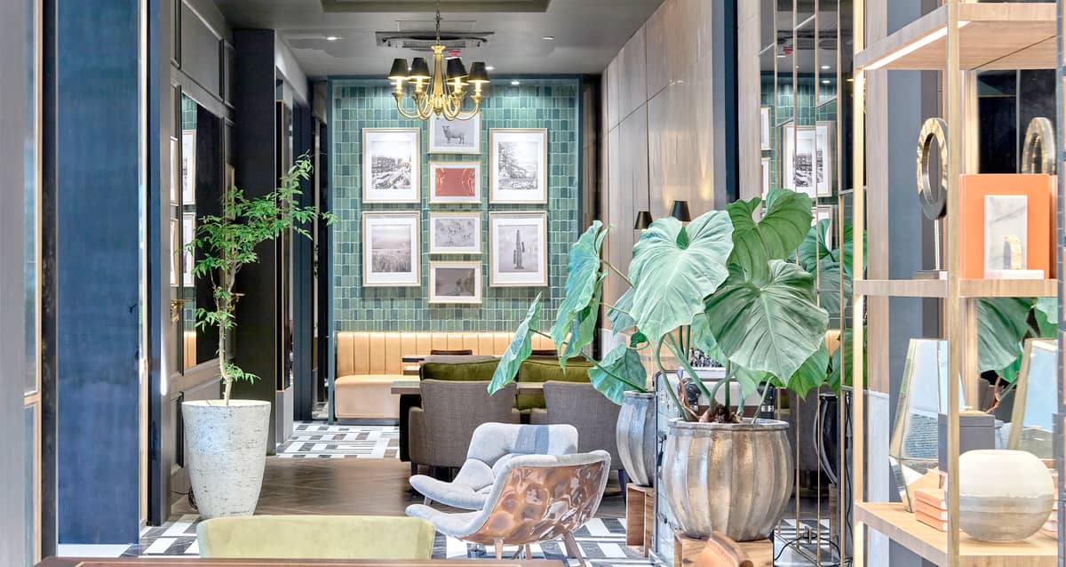 WARM lighting and indoor greenery that invites visitors to stay and dine.