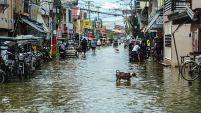 FREQUENT flooding in Masantol, Pampanga is caused by a combination of altered waterways, fishponds that impede water flow, and land subsidence exacerbated by volcanic lahars from Mount Pinatubo.