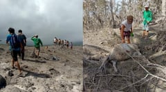 Mt. Mayon causes P13.02M in agri damage in Bicol