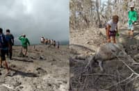 ASHFALL from Mayon Volcano has turned Camalig into a landscape of desolation, with some animals succumbing to the heat and air pollutants.