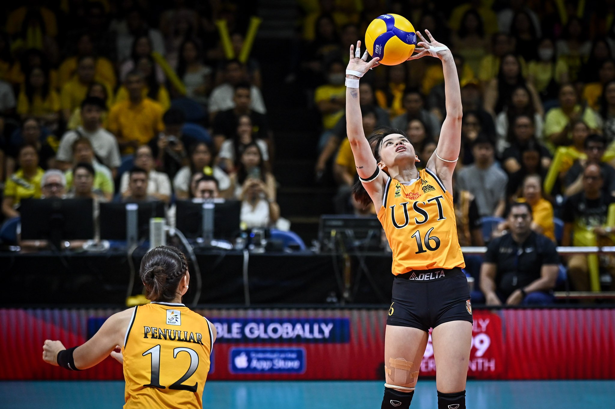 UST setter mulls return