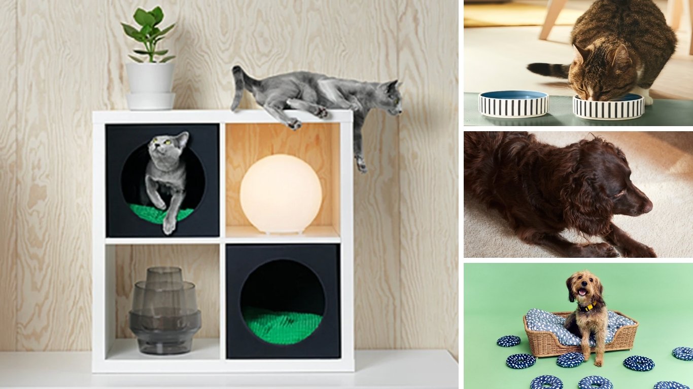 Must-have finds every furmom will love