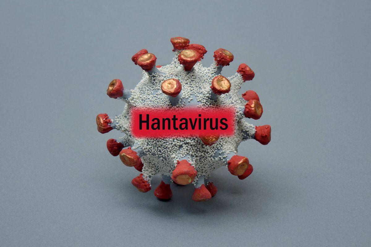 Leachon urges stronger hantavirus info drive