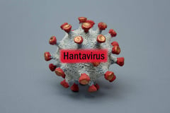 Leachon urges stronger hantavirus info drive