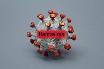 Leachon urges stronger hantavirus info drive