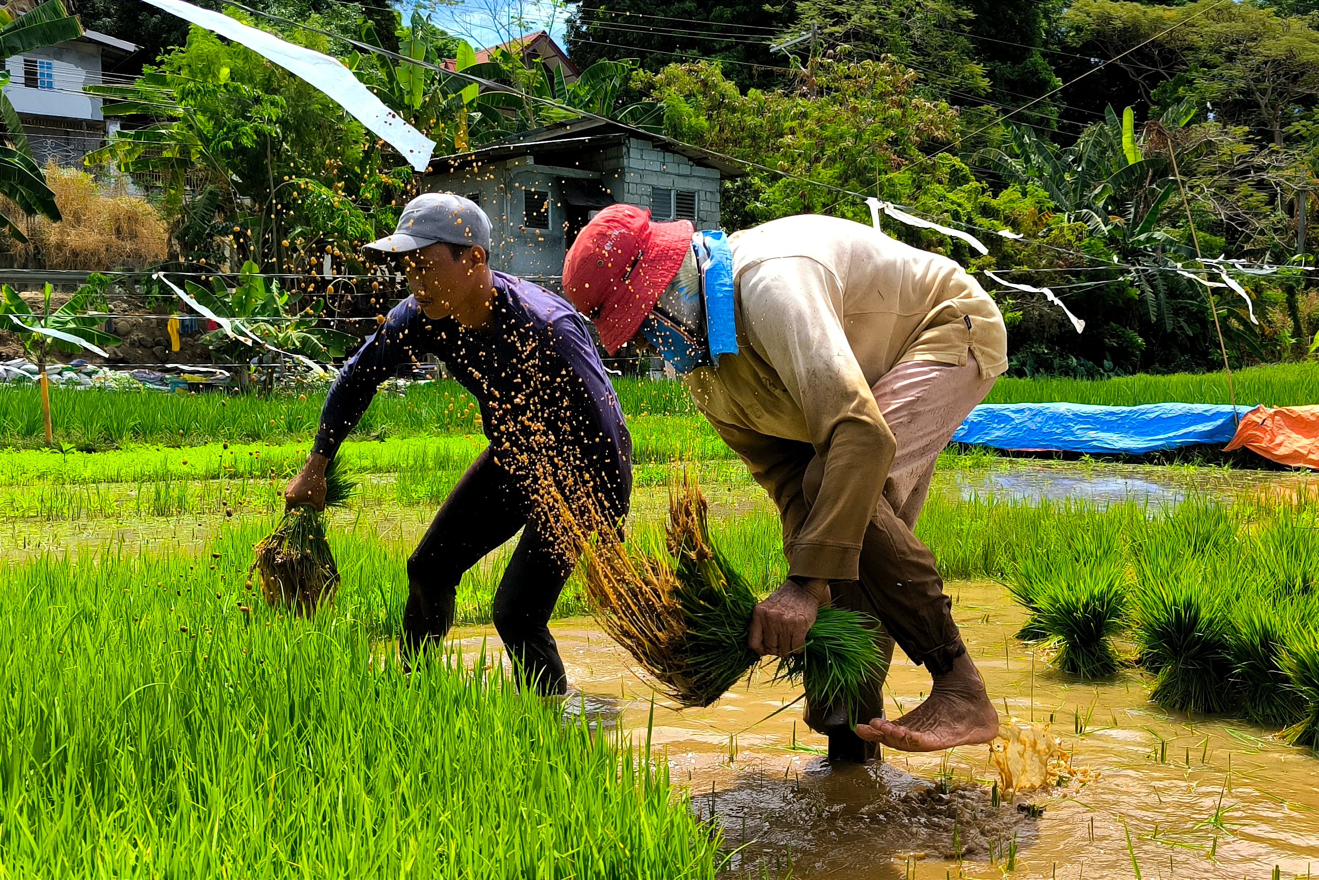DA Central Luzon opens Farmers and Fisherfolk Month 2026 in Pampanga

