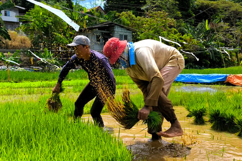 DA Central Luzon opens Farmers and Fisherfolk Month 2026 in Pampanga
