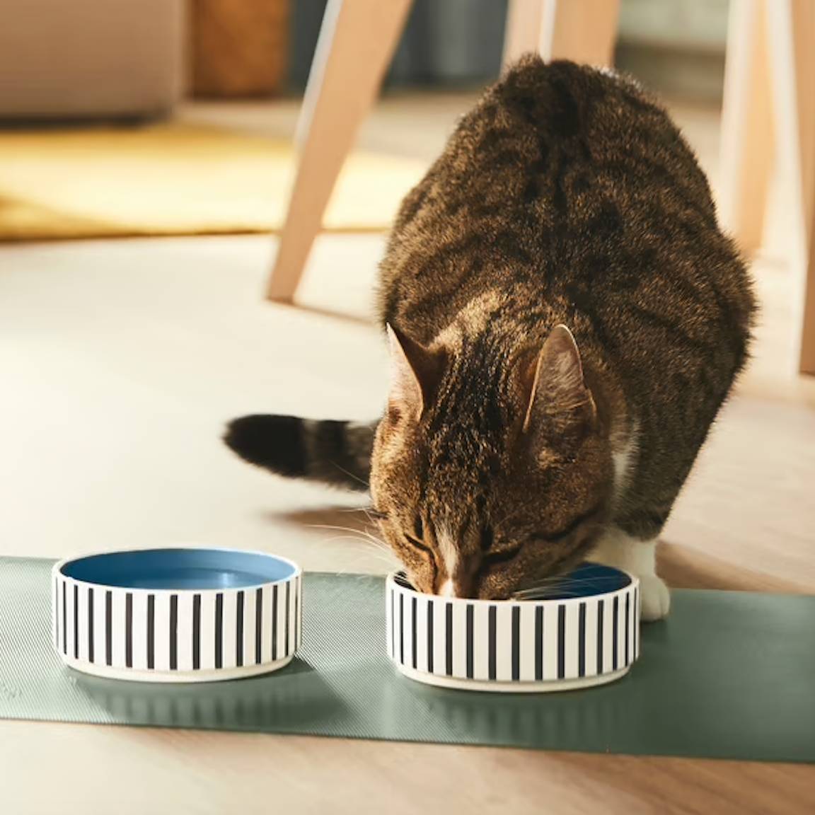 PET bowl.