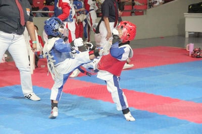 SMART/MPVSF taekwondo clinic set