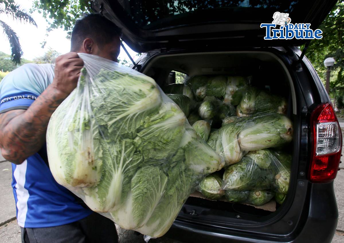 (May 07 2026) TTMD Personnel load vegetables after it was delivered from Atok, Benguet to the Quezon City hall compound on Thursday, May 7, 2026, as they distribute it to tricycle todas as part of the Project Unified Buying and Bayanihan Operations, a joint project of Atok and Quezon City LGU. Photo/Analy Labor