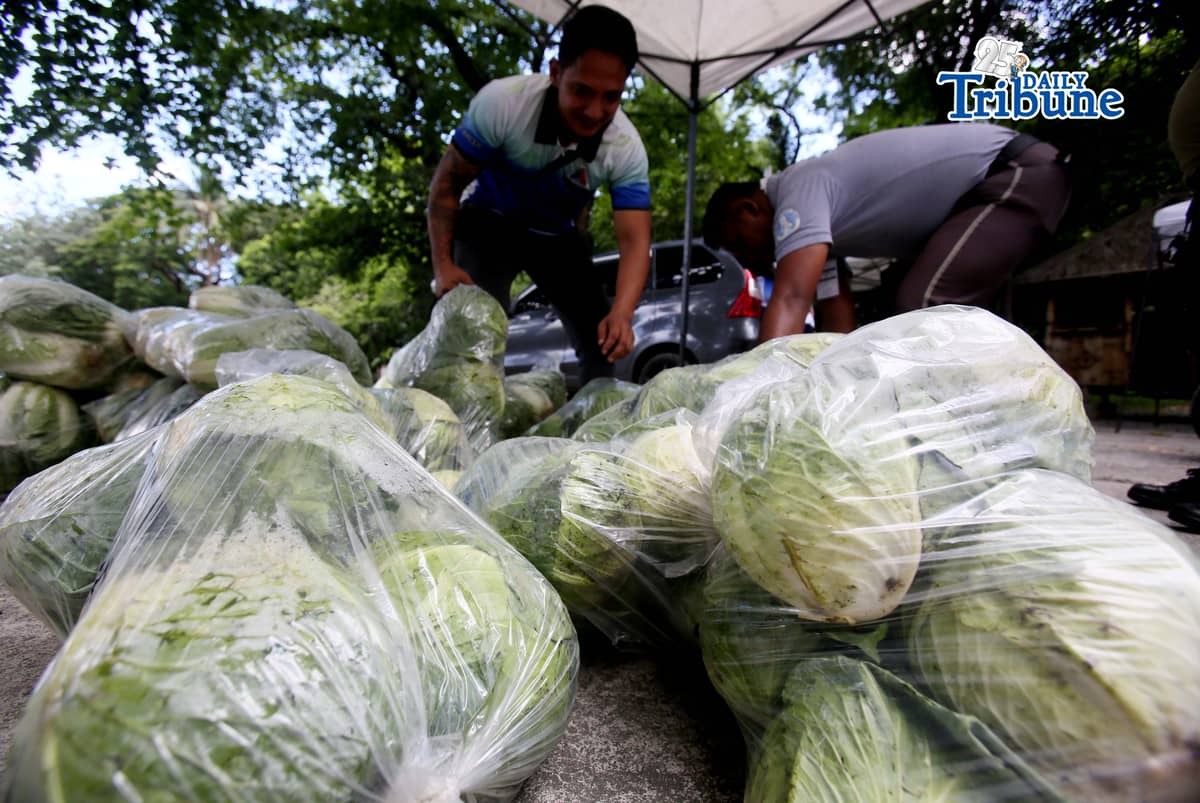 (May 07 2026) TTMD Personnel load vegetables after it was delivered from Atok, Benguet to the Quezon City hall compound on Thursday, May 7, 2026, as they distribute it to tricycle todas as part of the Project Unified Buying and Bayanihan Operations, a joint project of Atok and Quezon City LGU. Photo/Analy Labor