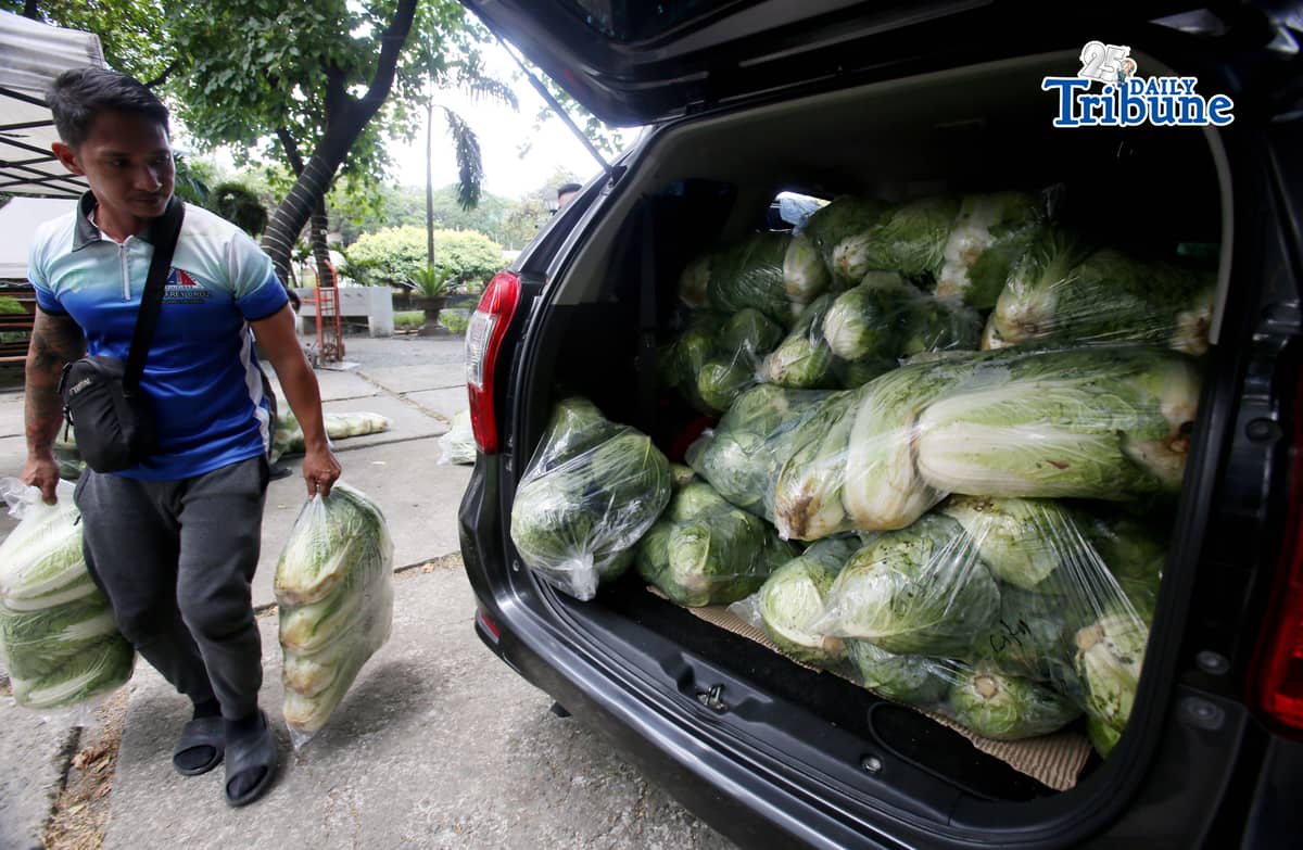 (May 07 2026) TTMD Personnel load vegetables after it was delivered from Atok, Benguet to the Quezon City hall compound on Thursday, May 7, 2026, as they distribute it to tricycle todas as part of the Project Unified Buying and Bayanihan Operations, a joint project of Atok and Quezon City LGU. Photo/Analy Labor