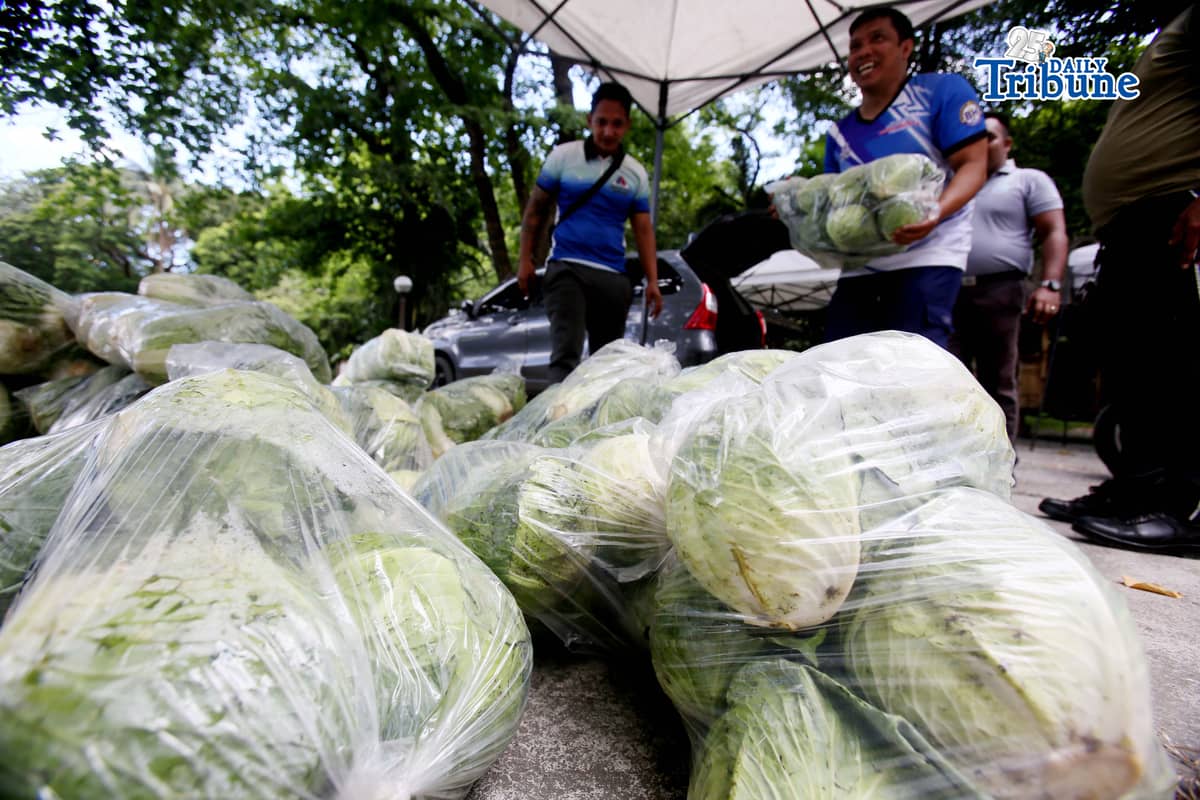(May 07 2026) TTMD Personnel load vegetables after it was delivered from Atok, Benguet to the Quezon City hall compound on Thursday, May 7, 2026, as they distribute it to tricycle todas as part of the Project Unified Buying and Bayanihan Operations, a joint project of Atok and Quezon City LGU. Photo/Analy Labor