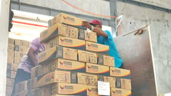 Mayon affects 70K families; Social Welfare speeds up relief
