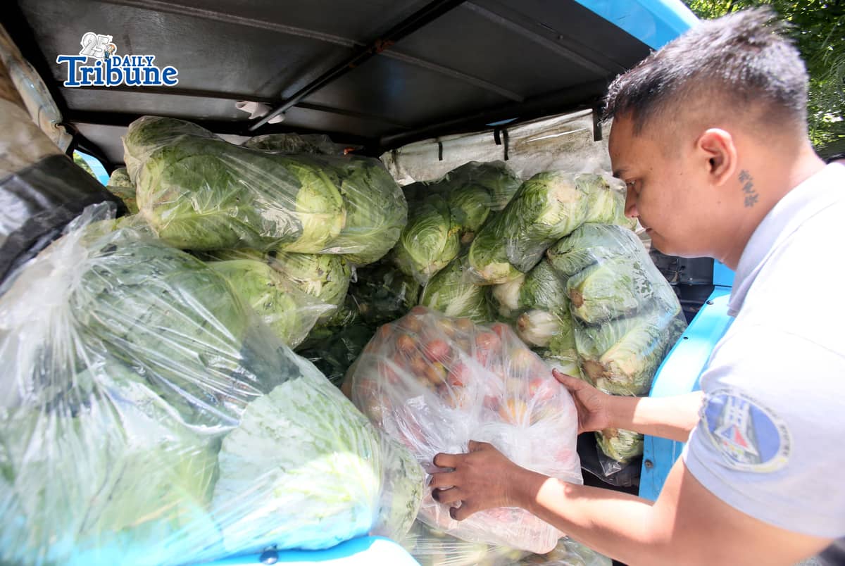 (May 07 2026) TTMD Personnel load vegetables after it was delivered from Atok, Benguet to the Quezon City hall compound on Thursday, May 7, 2026, as they distribute it to tricycle todas as part of the Project Unified Buying and Bayanihan Operations, a joint project of Atok and Quezon City LGU. Photo/Analy Labor