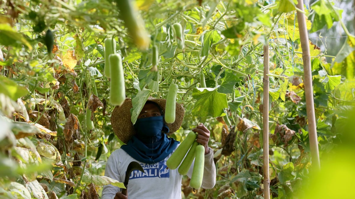 Bulacan kicks off Provincial Farmers’ and Fisherfolk Month Celebration