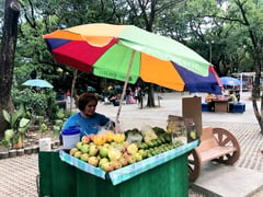 Like mangoes, a mother’s love grows sweeter through time