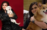 SECRETARY Katrina Ponce Enrile with Willoughby, her long-haired miniature dachshund, ‘who travels with me and sleeps beside me.’ (right) Too cute: ‘Simone, my Corgi, was one of my favorites — she slept with me for over 14 years until she could no longer climb the stairs. She passed last 12 August 2025.’