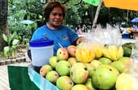 LUZ Balana watches over her fruit cart in Quezon City, where years of selling mangoes have ripened into a story of quiet sacrifice and motherhood.