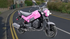 Honda NAVi gets chic