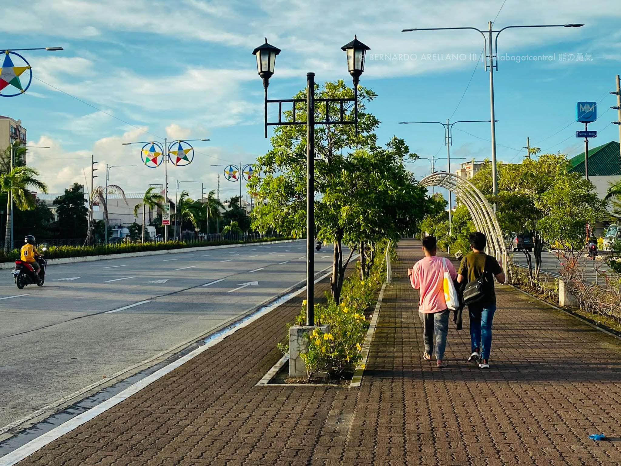 Iloilo City eyes to plant 10,000 native trees along Diversion Road