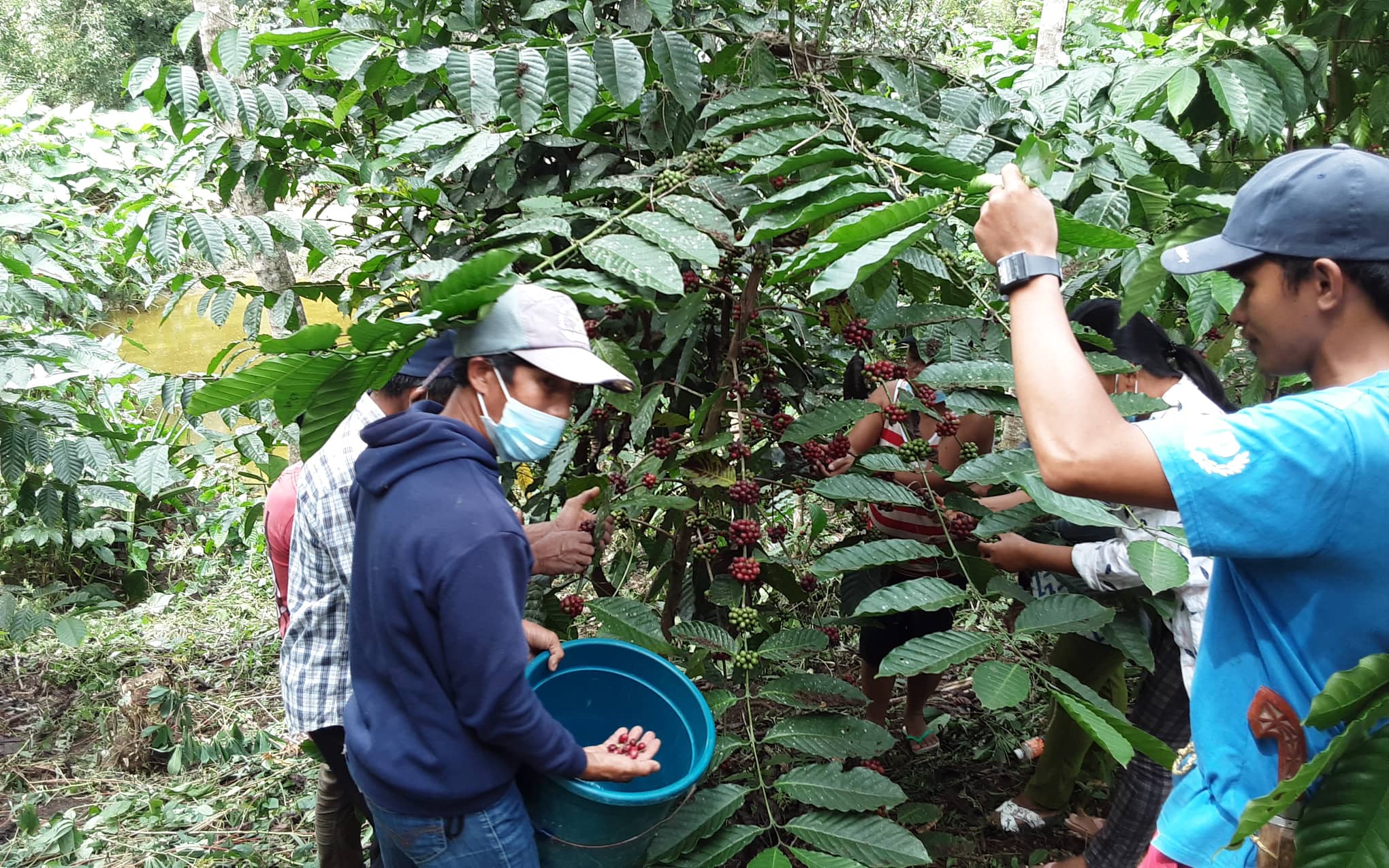 P2.5B poured for Sultan Kudarat’s farm-to-market road