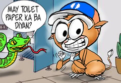 Toilet tourism