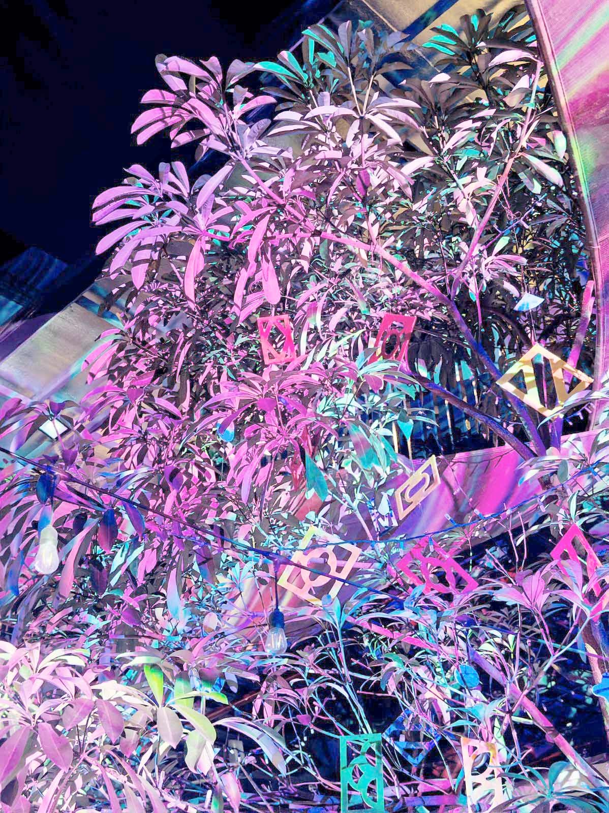 ARCHITECTURE OF LIGHT: Isaiah Cacnio’s digital tapestry at Comuna