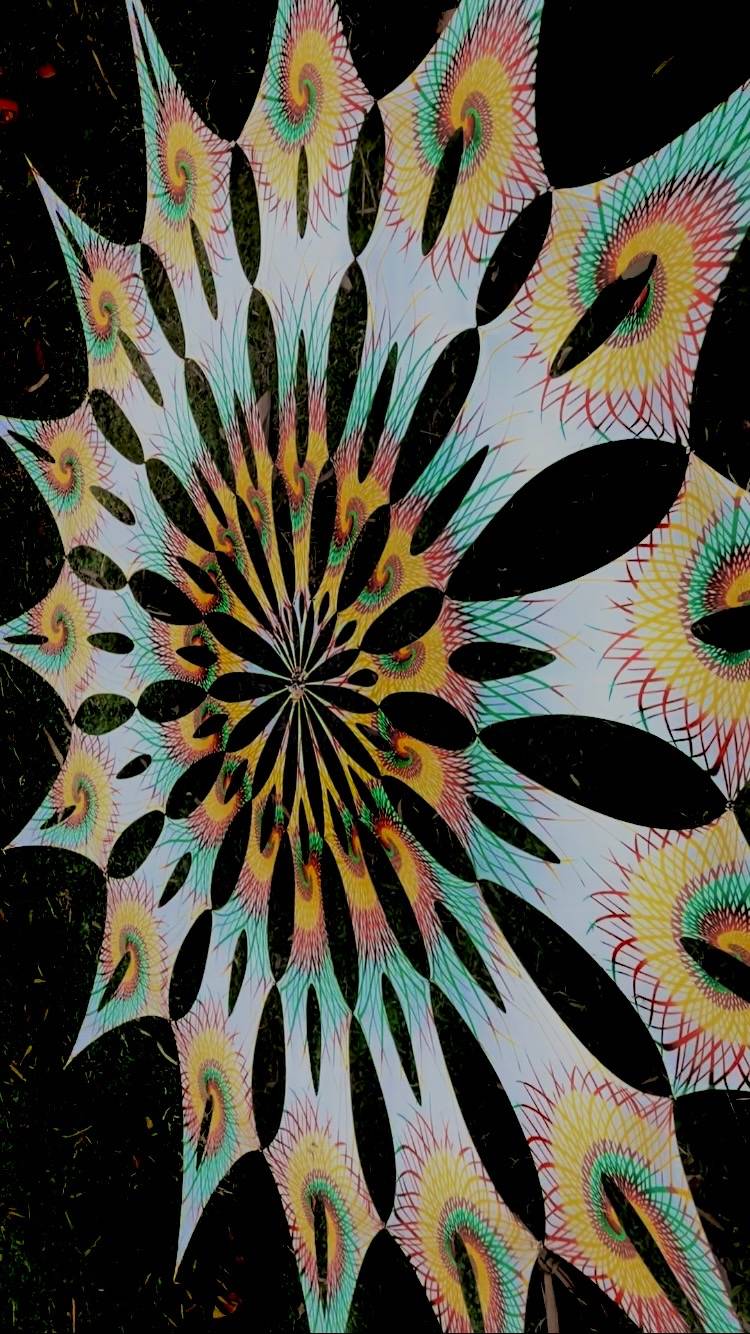 MANDALA by Harre King.