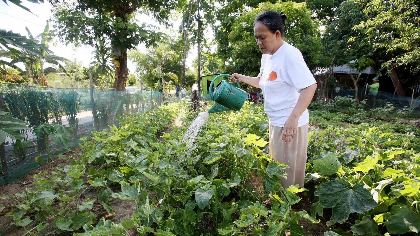 Gov’t mobilizes financial aid for drivers, farmers