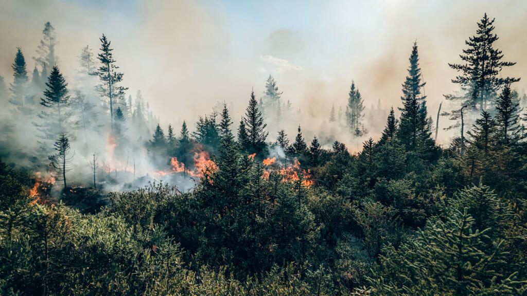 Scientists: 2026 could see severe global wildfires