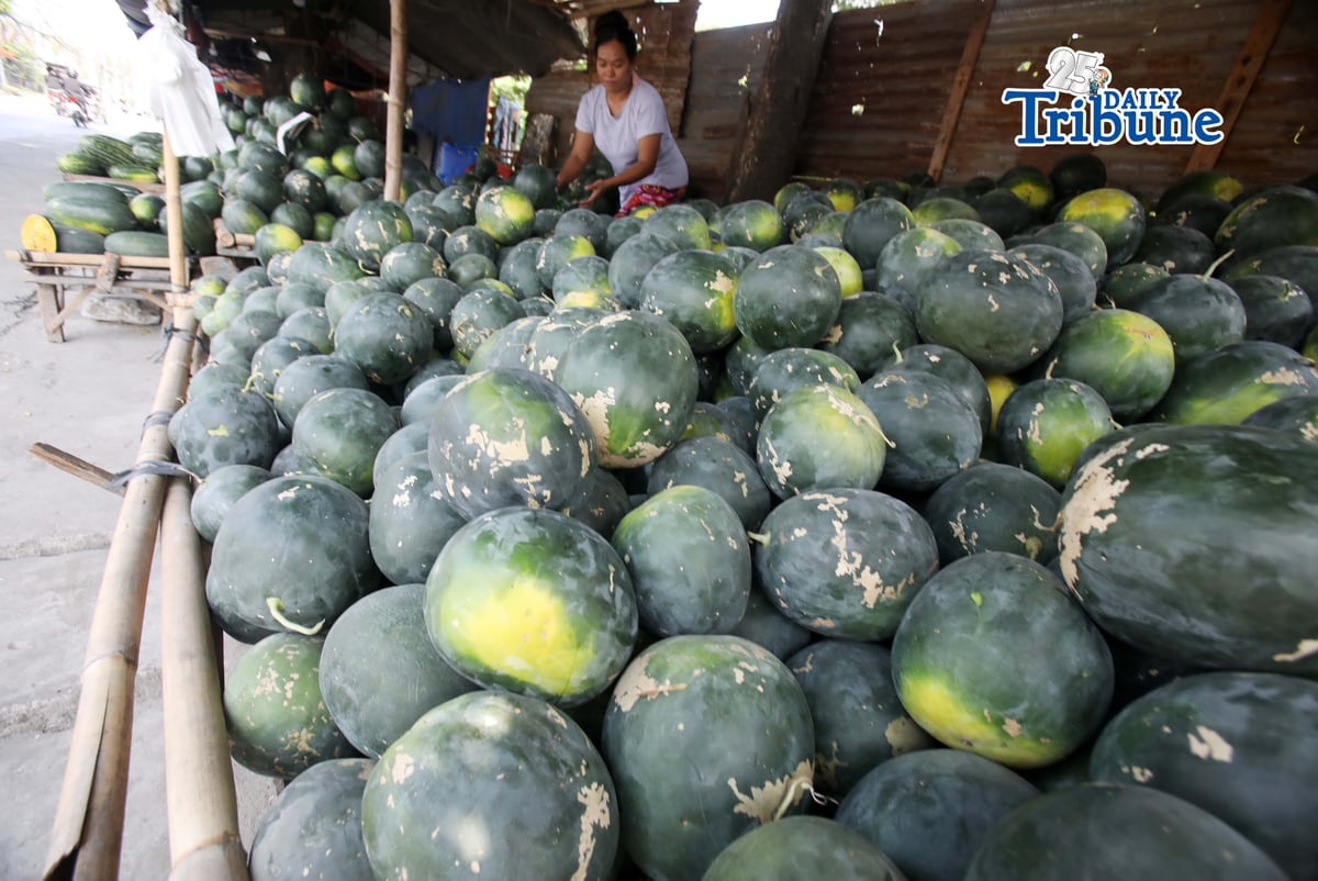Watermelon