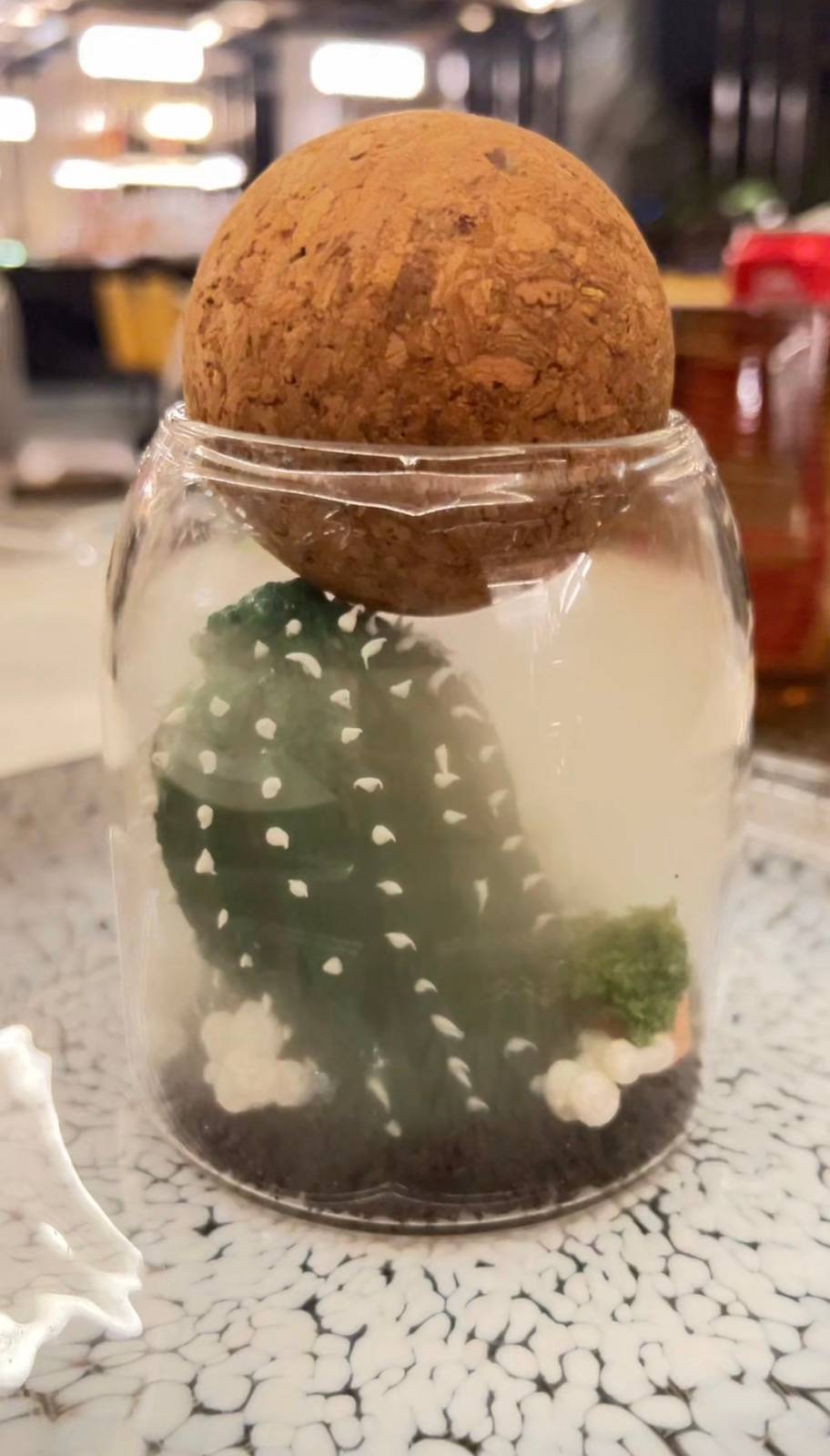 THE Terrarium