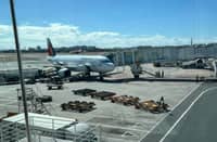 PAL airplane parked at NAIA Terminal 1