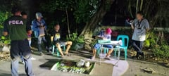 PDEA RO1 Intercepts 1.5KG Marijuana Shipment; Teen Arrested in La Union