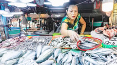 BFAR warns public after red tide, fish kills detected