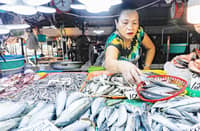 A FISH vendor checks on her merchandise as she waits for customers at the Bagong Palengke market in Taytay, Rizal.