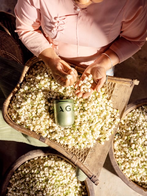 Why tea is becoming Gen Z’s favorite 
slow-down ritual