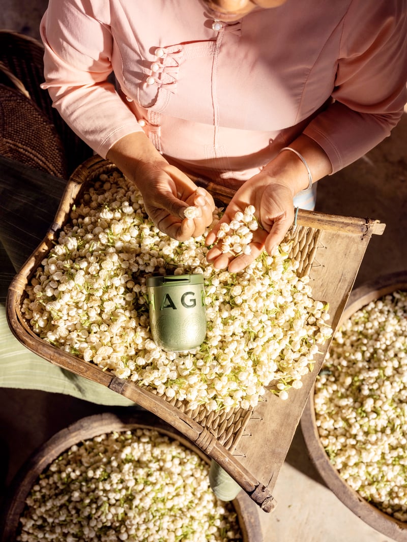 Why tea is becoming Gen Z’s favorite
slow-down ritual