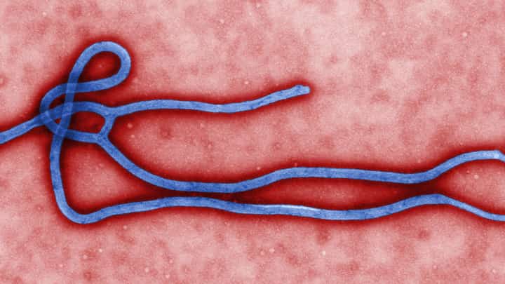 No vaccine for latest Ebola outbreak, DRC warns as toll hits 80