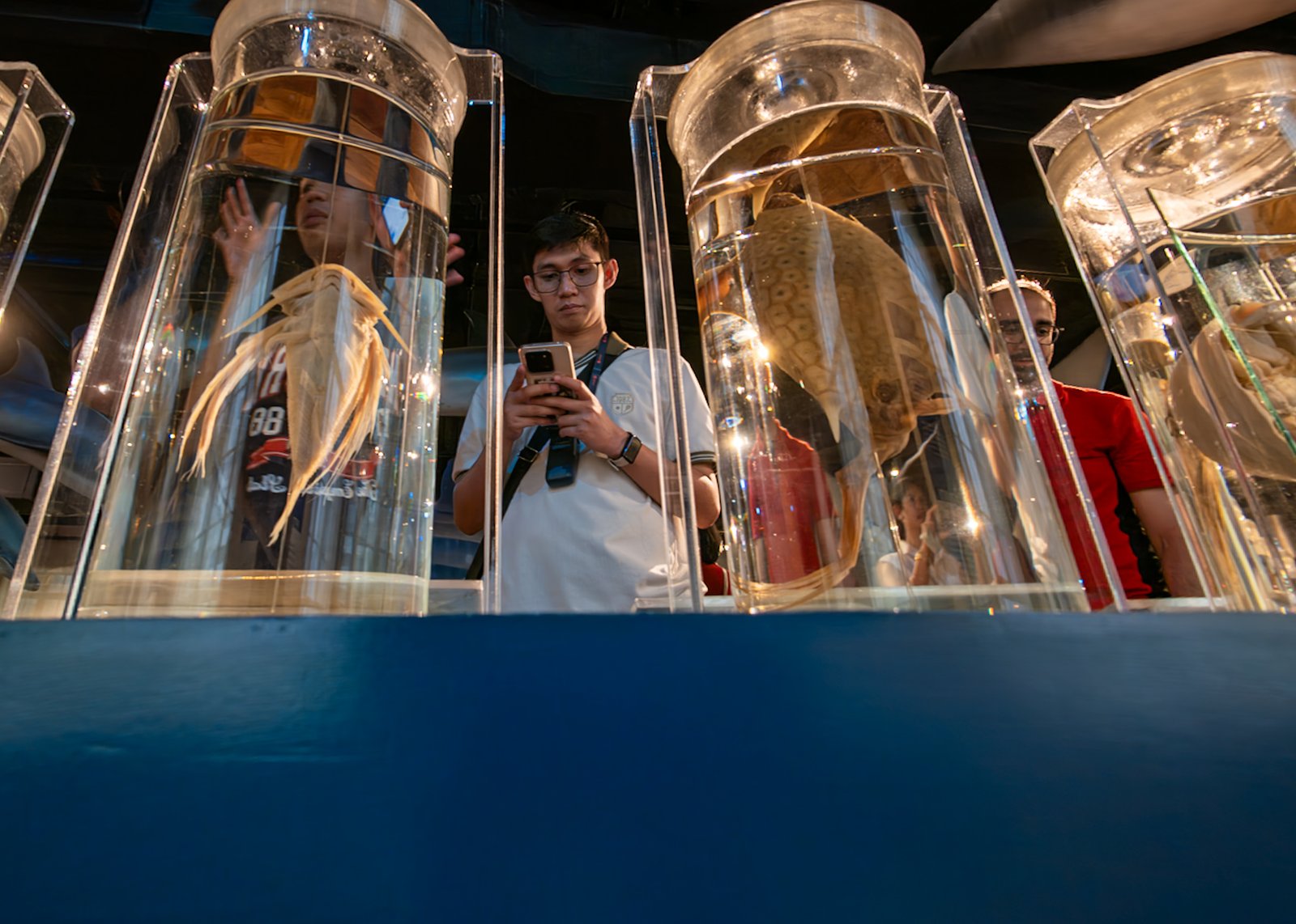 Visitors explore the National Museum of Natural History in Manila on 16 May 2026, ahead of International Museum Day. In commemoration of the global event, the National Museum will be hosting a series of special activities for the public.